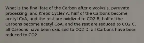 What is the final fate of the Carbon after glycolysis, pyruvate processing, and Krebs Cycle? A. half of the Carbons become acetyl CoA, and the rest are oxidized to CO2 B. half of the Carbons become acetyl CoA, and the rest are reduced to CO2 C. all Carbons have been oxidized to CO2 D. all Carbons have been reduced to CO2