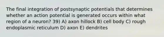 The final integration of postsynaptic potentials that determines whether an action potential is generated occurs within what region of a neuron? 39) A) axon hillock B) cell body C) rough endoplasmic reticulum D) axon E) dendrites