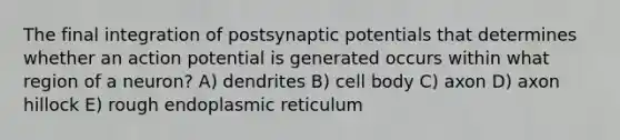 The final integration of postsynaptic potentials that determines whether an action potential is generated occurs within what region of a neuron? A) dendrites B) cell body C) axon D) axon hillock E) rough endoplasmic reticulum