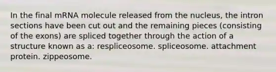 In the final mRNA molecule released from the nucleus, the intron sections have been cut out and the remaining pieces (consisting of the exons) are spliced together through the action of a structure known as a: respliceosome. spliceosome. attachment protein. zippeosome.