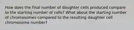 How does the final number of daughter cells produced compare to the starting number of cells? What about the starting number of chromosomes compared to the resulting daughter cell chromosome number?