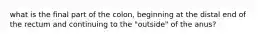 what is the final part of the colon, beginning at the distal end of the rectum and continuing to the "outside" of the anus?