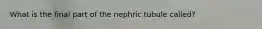 What is the final part of the nephric tubule called?