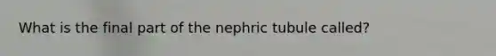 What is the final part of the nephric tubule called?