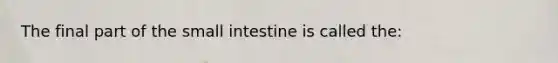 The final part of <a href='https://www.questionai.com/knowledge/kt623fh5xn-the-small-intestine' class='anchor-knowledge'>the small intestine</a> is called the: