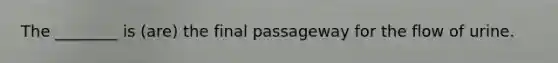 The ________ is (are) the final passageway for the flow of urine.