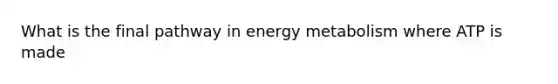 What is the final pathway in energy metabolism where ATP is made