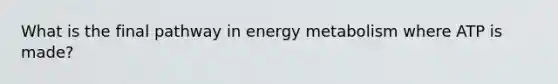 What is the final pathway in energy metabolism where ATP is made?