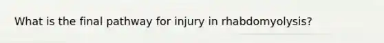 What is the final pathway for injury in rhabdomyolysis?