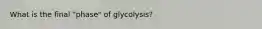 What is the final "phase" of glycolysis?