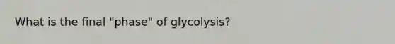 What is the final "phase" of glycolysis?