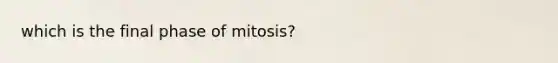 which is the final phase of mitosis?