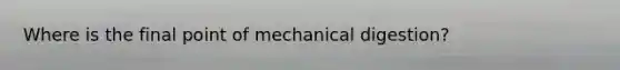 Where is the final point of mechanical digestion?