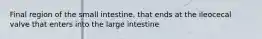 Final region of the small intestine, that ends at the ileocecal valve that enters into the large intestine