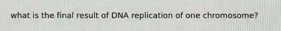 what is the final result of DNA replication of one chromosome?