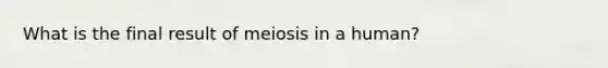 What is the final result of meiosis in a human?