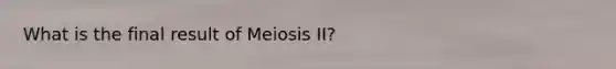 What is the final result of Meiosis II?