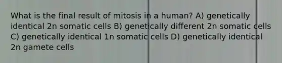 What is the final result of mitosis in a human? A) genetically identical 2n somatic cells B) genetically different 2n somatic cells C) genetically identical 1n somatic cells D) genetically identical 2n gamete cells