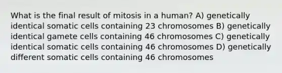 What is the final result of mitosis in a human? A) genetically identical somatic cells containing 23 chromosomes B) genetically identical gamete cells containing 46 chromosomes C) genetically identical somatic cells containing 46 chromosomes D) genetically different somatic cells containing 46 chromosomes