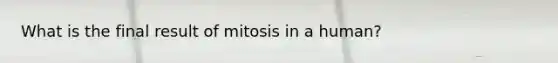 What is the final result of mitosis in a human?