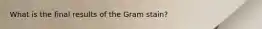 What is the final results of the Gram stain?