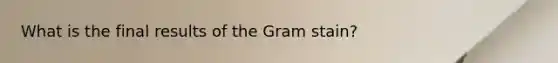 What is the final results of the Gram stain?