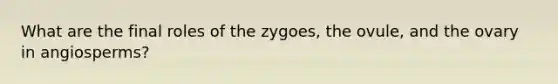 What are the final roles of the zygoes, the ovule, and the ovary in angiosperms?