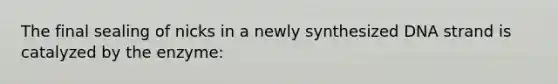 The final sealing of nicks in a newly synthesized DNA strand is catalyzed by the enzyme: