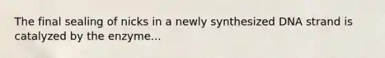 The final sealing of nicks in a newly synthesized DNA strand is catalyzed by the enzyme...
