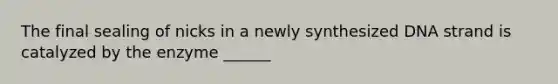 The final sealing of nicks in a newly synthesized DNA strand is catalyzed by the enzyme ______