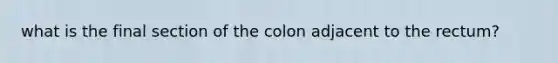 what is the final section of the colon adjacent to the rectum?