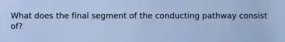 What does the final segment of the conducting pathway consist of?