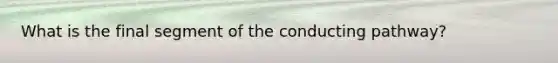 What is the final segment of the conducting pathway?