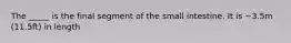 The _____ is the final segment of the small intestine. It is ~3.5m (11.5ft) in length