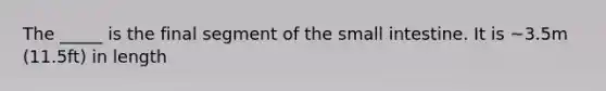 The _____ is the final segment of the small intestine. It is ~3.5m (11.5ft) in length