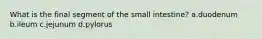 What is the final segment of the small intestine? a.duodenum b.ileum c.jejunum d.pylorus