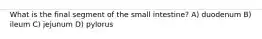 What is the final segment of the small intestine? A) duodenum B) ileum C) jejunum D) pylorus