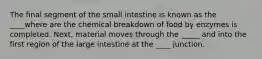 The final segment of the small intestine is known as the ____where are the chemical breakdown of food by enzymes is completed. Next, material moves through the _____ and into the first region of the large intestine at the ____ junction.