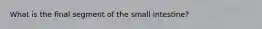 What is the final segment of the small intestine?