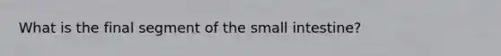 What is the final segment of the small intestine?