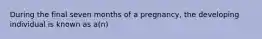 During the final seven months of a pregnancy, the developing individual is known as a(n)