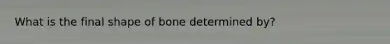 What is the final shape of bone determined by?