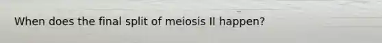 When does the final split of meiosis II happen?