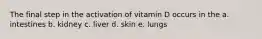 The final step in the activation of vitamin D occurs in the a. intestines b. kidney c. liver d. skin e. lungs