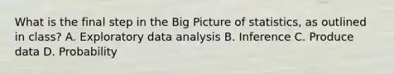 What is the final step in the Big Picture of statistics, as outlined in class? A. Exploratory data analysis B. Inference C. Produce data D. Probability