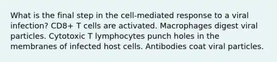 What is the final step in the cell-mediated response to a viral infection? CD8+ T cells are activated. Macrophages digest viral particles. Cytotoxic T lymphocytes punch holes in the membranes of infected host cells. Antibodies coat viral particles.