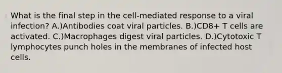 What is the final step in the cell-mediated response to a viral infection? A.)Antibodies coat viral particles. B.)CD8+ T cells are activated. C.)Macrophages digest viral particles. D.)Cytotoxic T lymphocytes punch holes in the membranes of infected host cells.