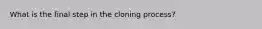 What is the final step in the cloning process?