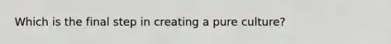 Which is the final step in creating a pure culture?