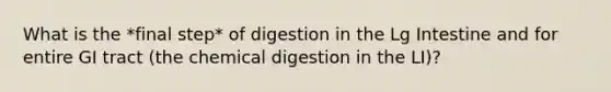 What is the *final step* of digestion in the Lg Intestine and for entire GI tract (the chemical digestion in the LI)?